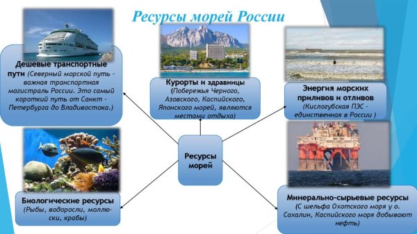 Биоресурсы Берингова моря