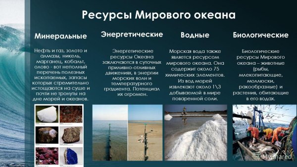 Морские рекреационные ресурсы
