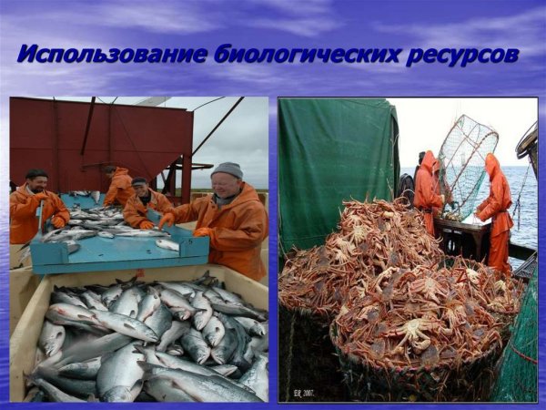 Приразломная нефтяная платформа