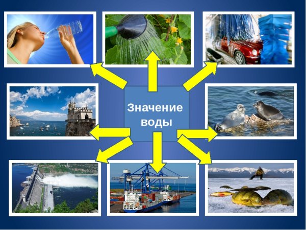 Ресурсы черного моря