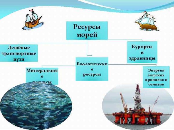 Природные ресурсы океана