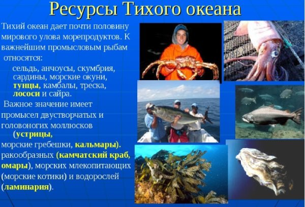 Водные ресурсы Сочи