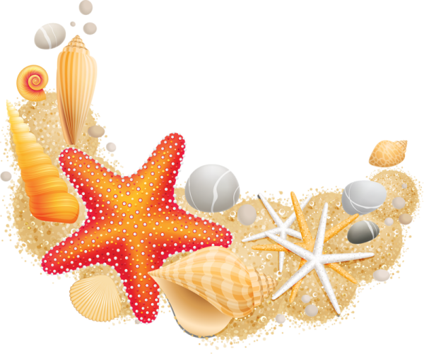 Морская звезда