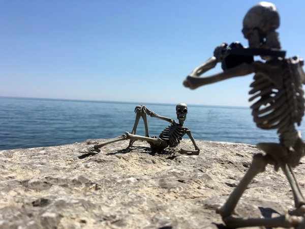 Лсд скелеты