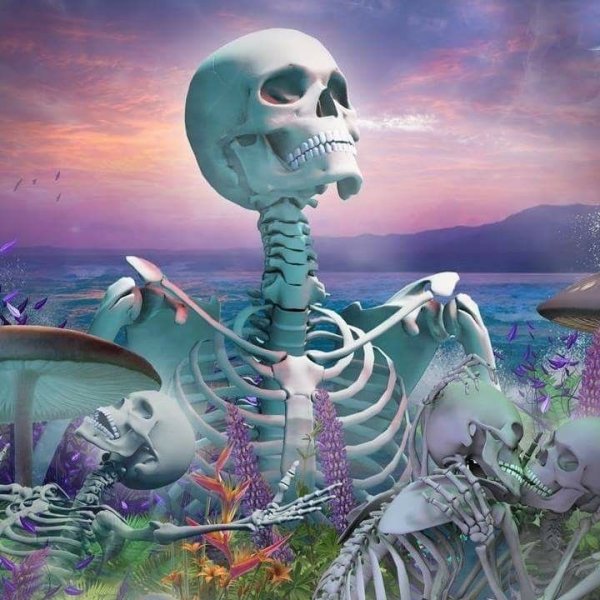 Берег костей Намибия