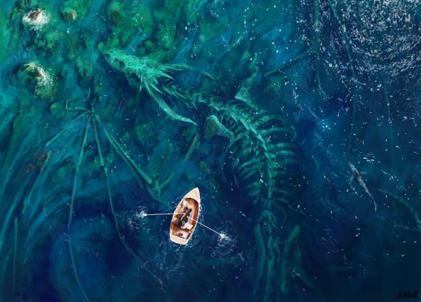 Веселый Роджер пираты Карибского моря