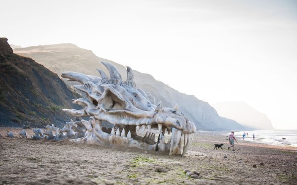 Sea of Thieves зеленый скелет игрок