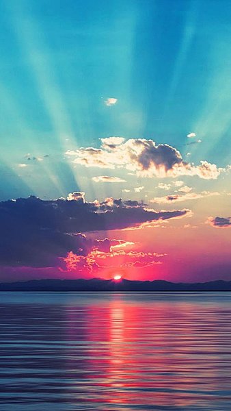 Под пальмой