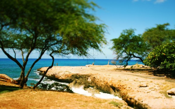 Летний берег