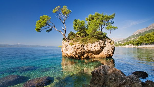 Крым сосны горы море Песчаное