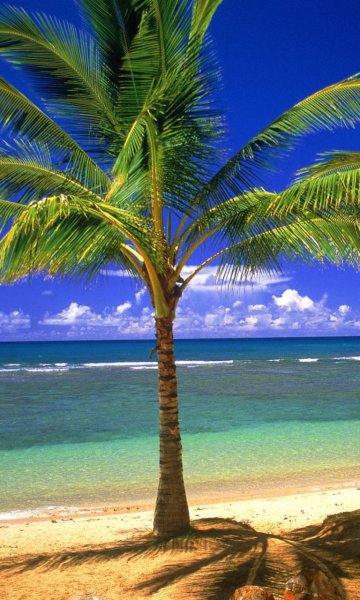 Anse Lazio пляж