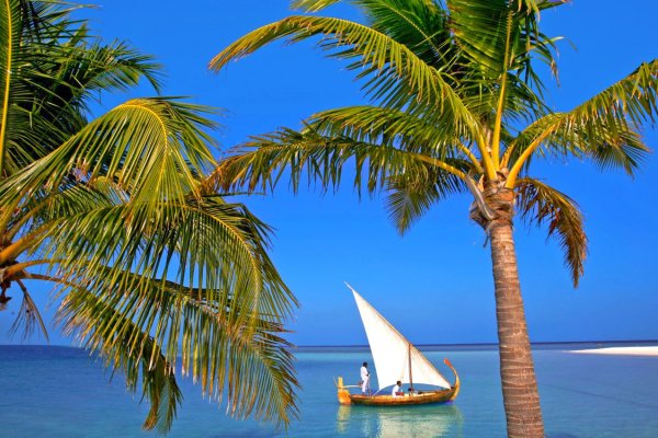 Карибское море