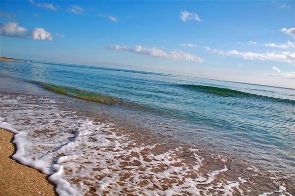 Берег черного моря