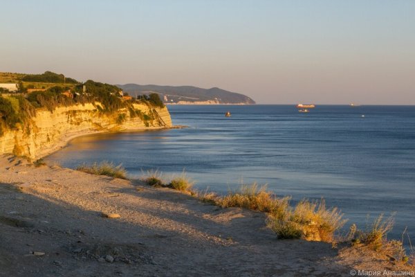 Афалина в Анапе Дельфин