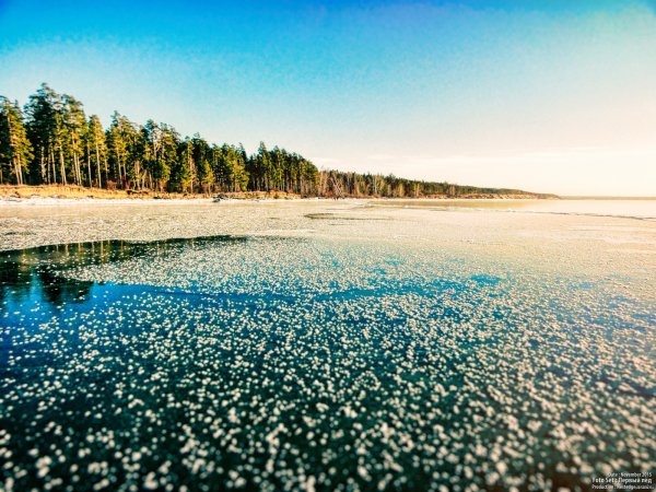 Новосибирск море