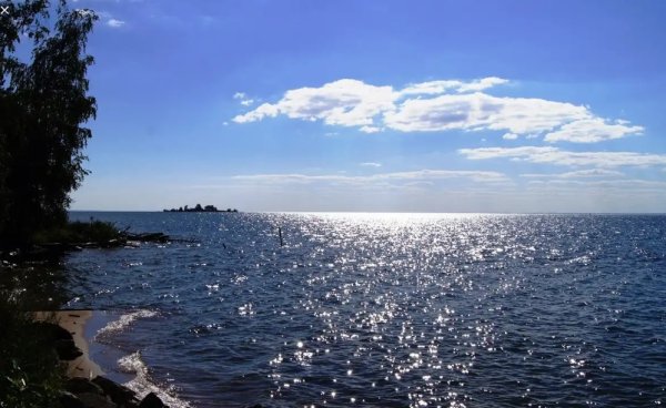 Берег Обского моря Новосибирск