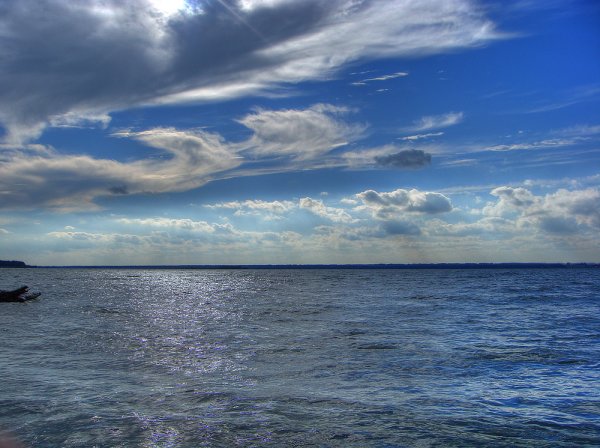 Обское море Бердск острова