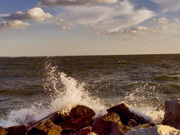 Обское водохранилище Бердск