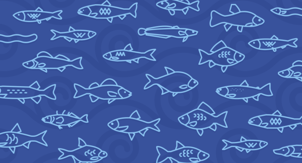 Промысловые рыбы Балтийского моря