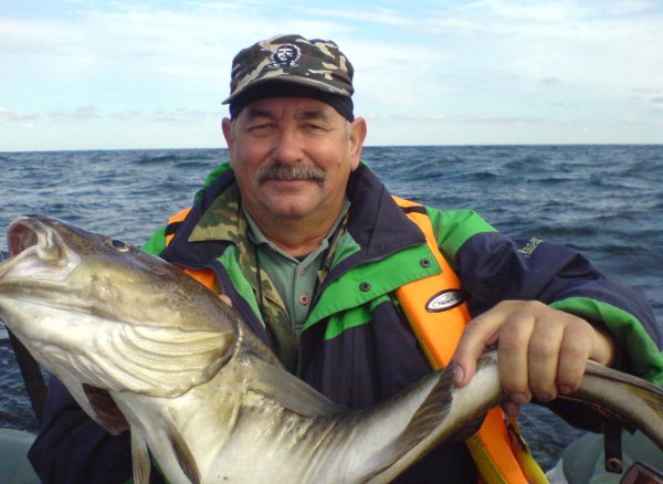 Рыба в Балтийском море