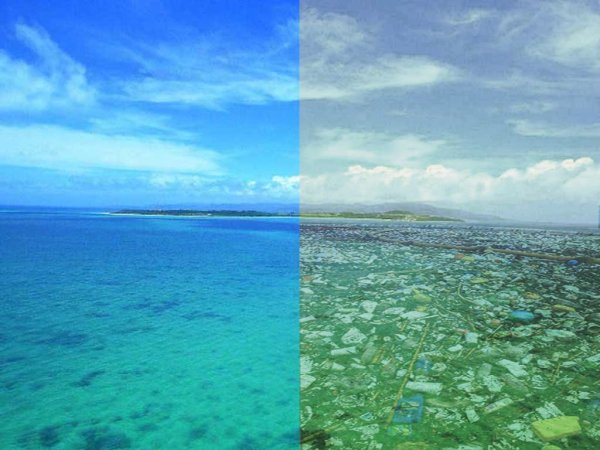 Чистое море