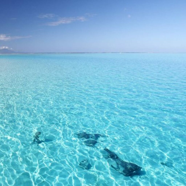 Голубая прозрачная вода