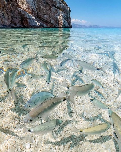 Индийский океан Гоа пляжи