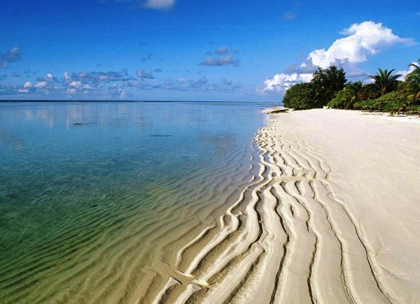 Кларк Литтл фото