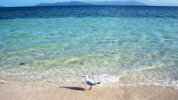 Голубое море