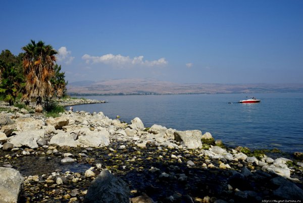 Тивериадское озеро Израиль