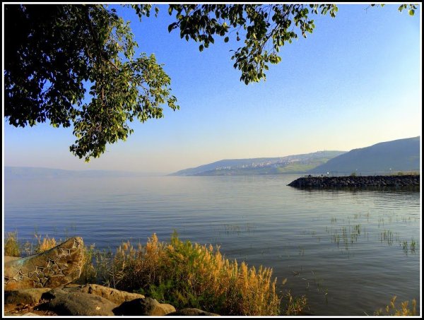 Аллея у Галилейского моря