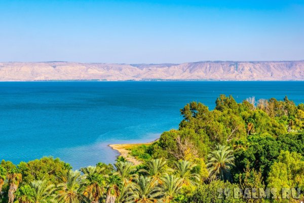 Василий Поленов Рыбацкая лодка