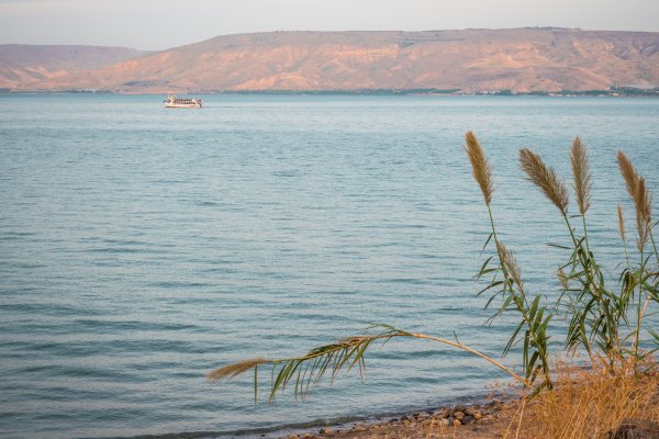 Рыба в Галилейском море
