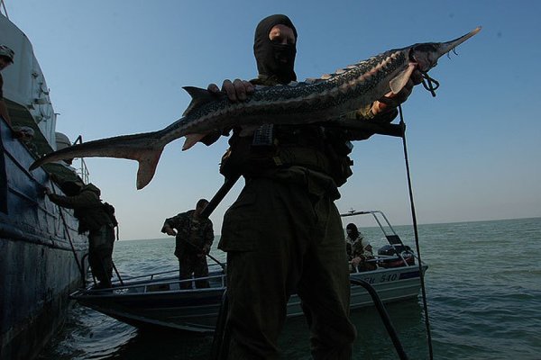 Биоресурсы Каспийского моря