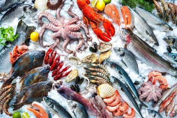 Красивые морепродукты