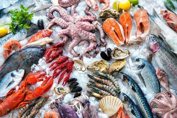 Красивые морепродукты