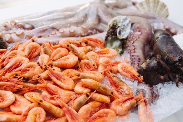 Красивые морепродукты