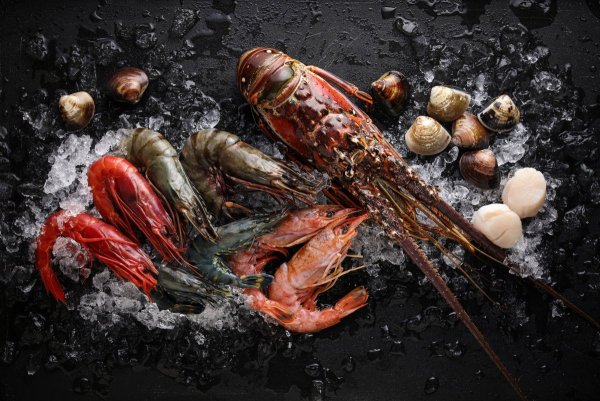 Красивые морепродукты