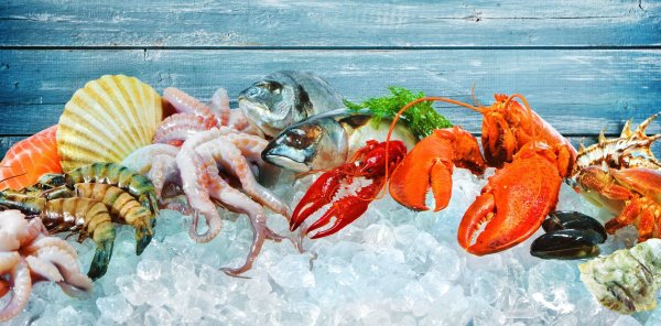 Морепродукты на темном фоне