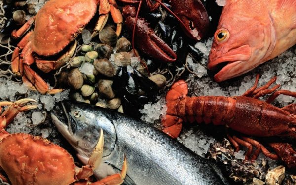Деликатесы морепродукты