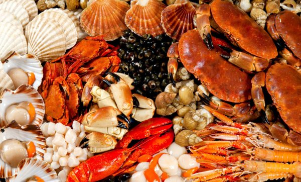 Морепродукты Омар лангуст