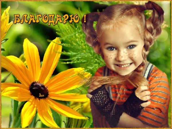 Масленица заставка