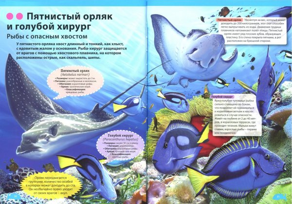 Подводный мир Травина Ирина энциклопедия для детского сада