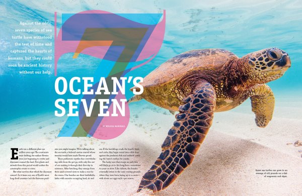 Морское приключение