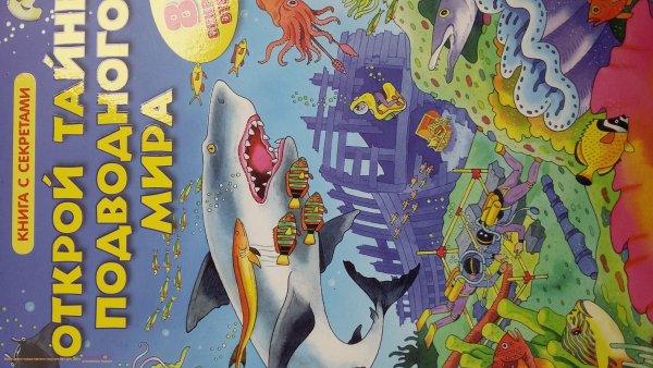 Блокнот море