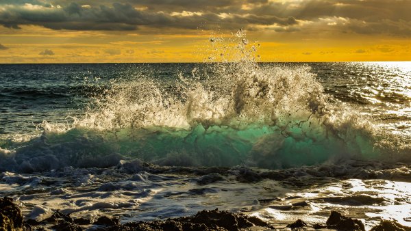 Море черного цвета