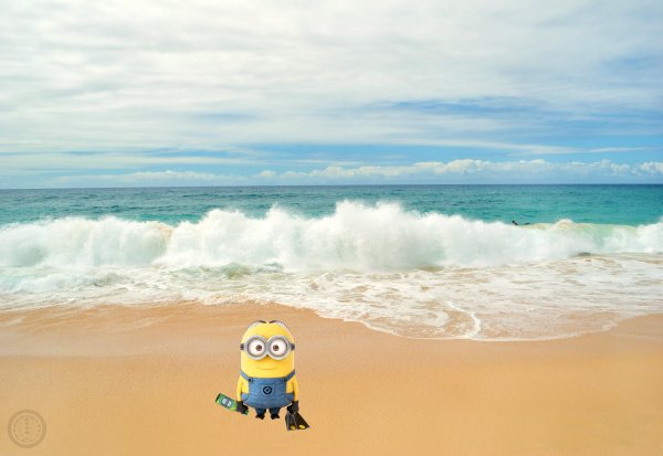 Миньоны на море