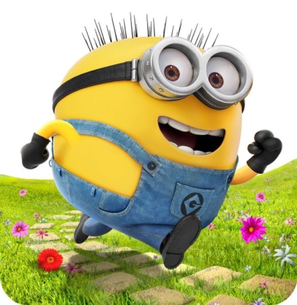 Миньон Норберт