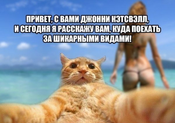 Пожелания хорошего отпуска