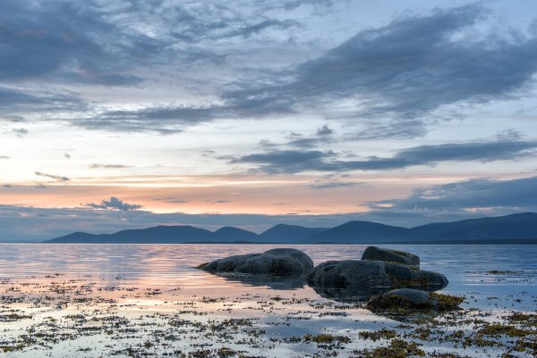 Гандвик белое море